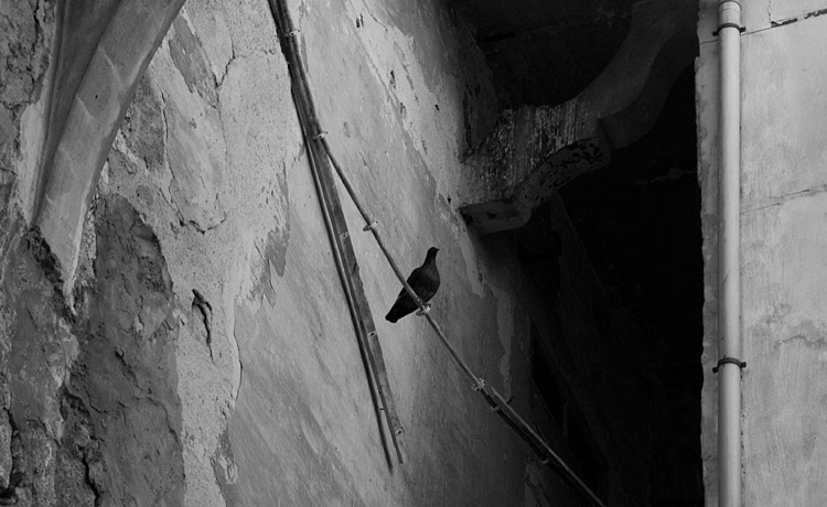 Em Maio, no Centro Histórico