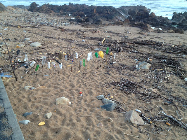 Lixo na Praia da Luz